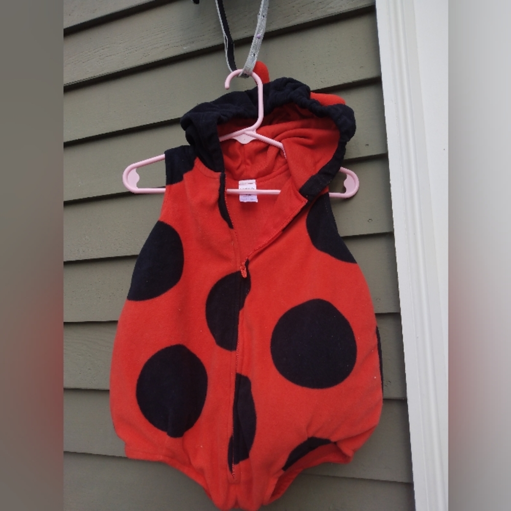 Baby lady bug costume